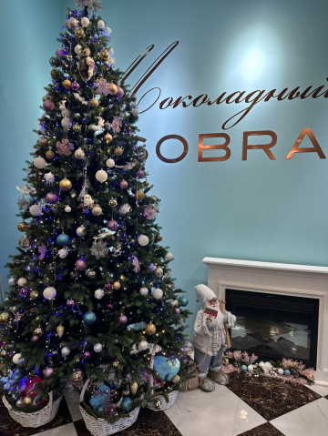 индивидуалка проститутка Ярославля